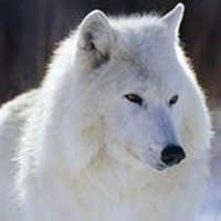 Profile Picture of Cassandra Lyle (@cassandra-lyle) on Quora