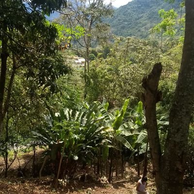 Profile Picture of Ana Rosa Arias Ovalle (@AnaRosaAriasOv3) on Twitter