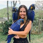 Paula Lelis - Instagram Profile Picture of Paula Lelis (@_paulalls) on Instagram