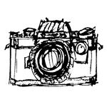 Profile Picture of Laura McGlashan (@lmcgphotography) on Instagram