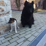 Profile Picture of Paul lützenkirchen (@paul187er_) on Instagram