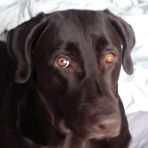 Profile Picture of Candra Kielblock (@candra.kielblock) on Facebook