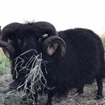 Profile Picture of John Failor (@failorjohn) on Instagram