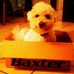 Profile Picture of Baxter Olson (@baxter.olson.9) on Facebook