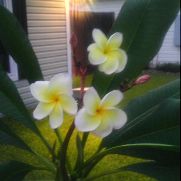 Kelly Grenner - Poshmark Profile Picture of Kelly Grenner (@klynn6844) on Poshmark