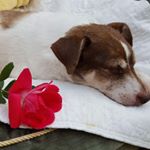 Profile Picture of Sandy Valerio (@sandy.valerio.12) on Instagram