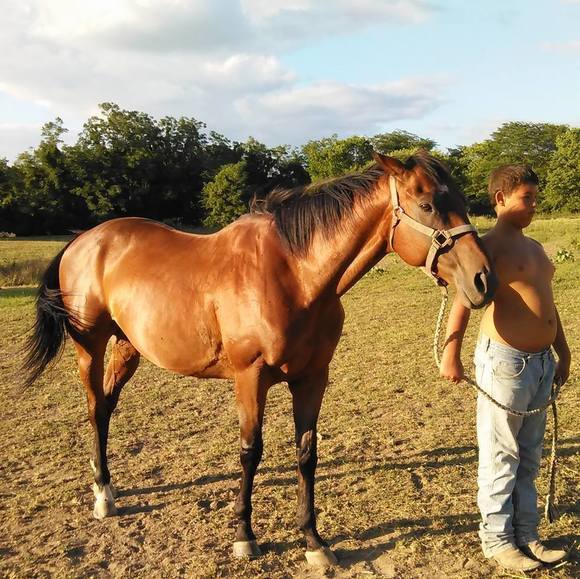 Profile Picture of Vandora Wellbaum (@vandorawellbaum) on Poshmark