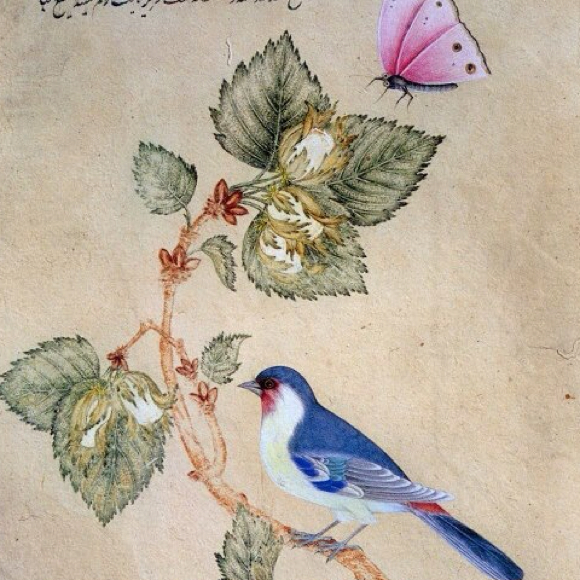 Profile Picture of Jacklyn St aubyn (@jstaubyn) on Poshmark