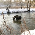 Profile Picture of scholtzanguseb (@scholtzanguseb) on Instagram