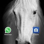 Profile Picture of Umang Shukla (@umang.shukla.5602) on Instagram