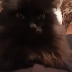 Profile Picture of Amanda Demont (@amanda.demont.79) on Facebook