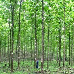 Profile Picture of Jeff Duda (@Panamateak) on Twitter