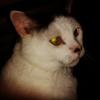 Profile Picture of Jason Hig (@@jasonhig) on Tiktok