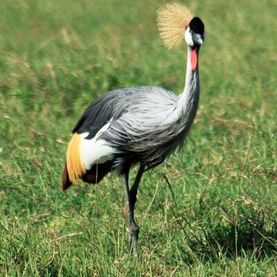 Profile Picture of Rachna Shetty (@shetty_rachna) on Twitter