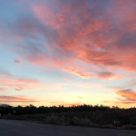 Profile Picture of Michelle Weiby (@michelle_weiby) on Poshmark