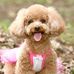 Profile Picture of Mina Sun (@jia.sun.73157) on Facebook