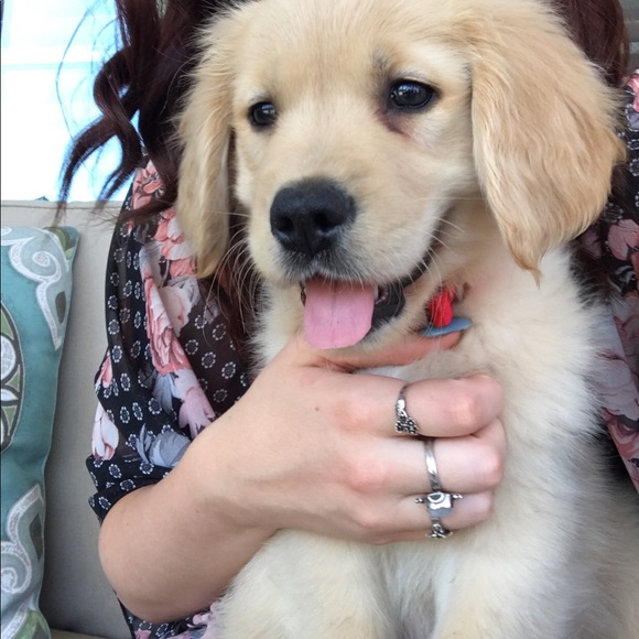 Profile Picture of Leah Gillette (@leahwho) on Poshmark