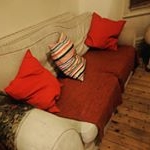 Profile Picture of Pat's Couch (@pats_couch) on Instagram