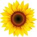 Profile Picture of Marlene Foreman (@Marlene-Foreman) on Facebook