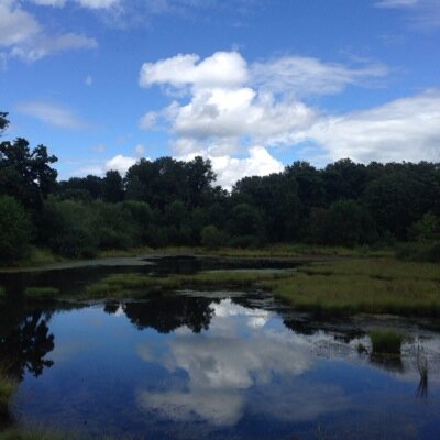 Profile Picture of Cory Mays (@Real_corymays) on Twitter