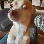 Profile Picture of Chace Daugherty (@chace.daugherty.7) on Facebook