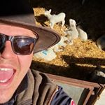 Profile Picture of Dan Laddiman (@danladdiman) on Instagram