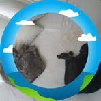 Profile Picture of Claudia Rezk (@senna.rezk) on Facebook