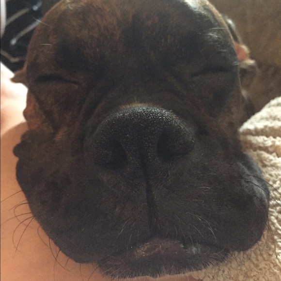 Profile Picture of Casey Salvato (@twinsmama1994) on Poshmark