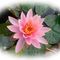 Profile Picture of Deborah Yip (@deborah.yip.771) on Facebook