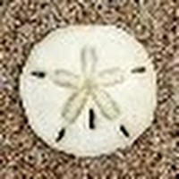 Profile Picture of Brad Funk (@brad-funk-8) on Quora