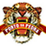 Gres Unidos Do Porto Da Pedra - Flickr Profile Picture of Gres Unidos Do Porto Da Pedra (@gres unidos do porto da pedra) on Flickr