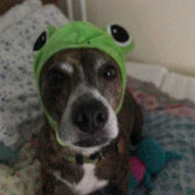 Profile Picture of Carly Ackerman (@carlyackerman1332) on Youtube