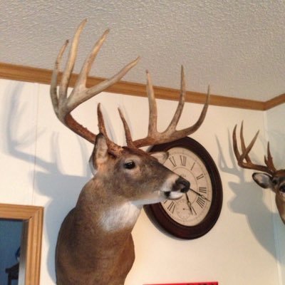 Profile Picture of Jason Ogle (@race3876) on Twitter