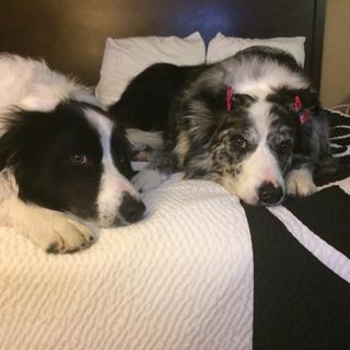 Profile Picture of Barbara Muller Amato (@barbara.lynch.908) on Facebook