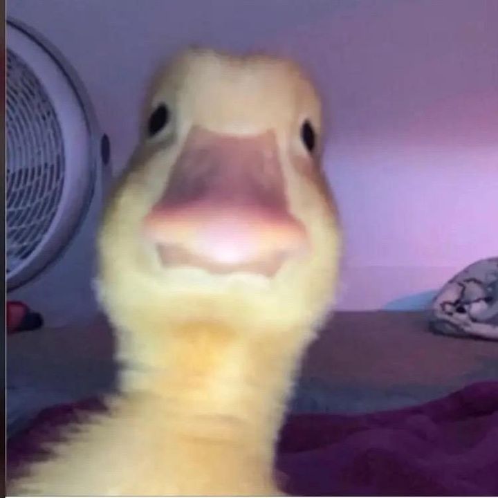 Profile Picture of JIMmy Oduman (@@jimmyoduman) on Tiktok