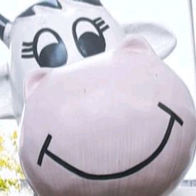 Profile Picture of rayleeeugene (@rayleeeugene) on Tiktok