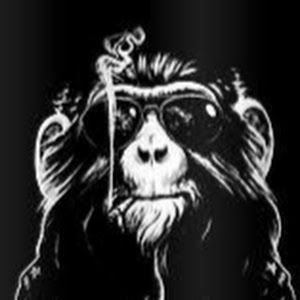 Profile Picture of zzzzting (@howardzhang08) on Tiktok