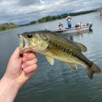 Profile Picture of Adam Weisgerber (@Adam-Weisgerber) on Facebook