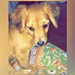 Profile Picture of Alisha (@awalden2002) on Instagram