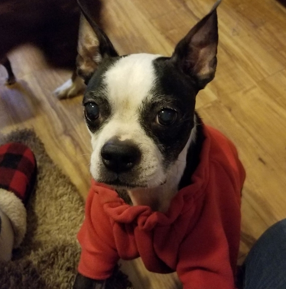 Dawn Ifland - Poshmark Profile Picture of Dawn Ifland (@raysgirl66) on Poshmark