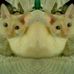 Profile Picture of Hannah Shaddock (@hannah.shaddock.3) on Facebook