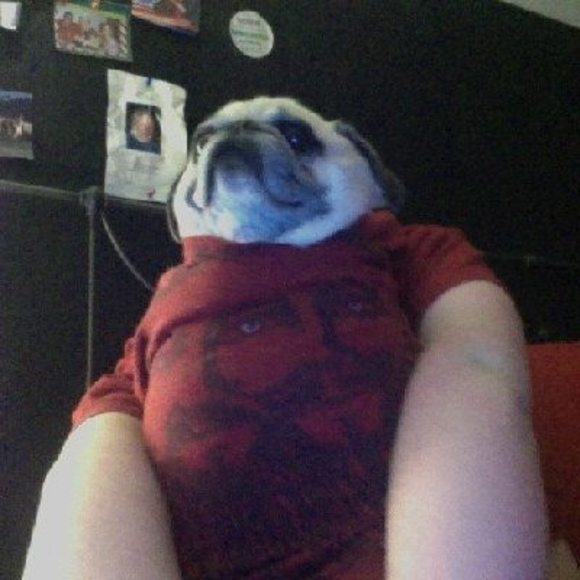 Profile Picture of Maxine Summers (@maxinesums) on Poshmark