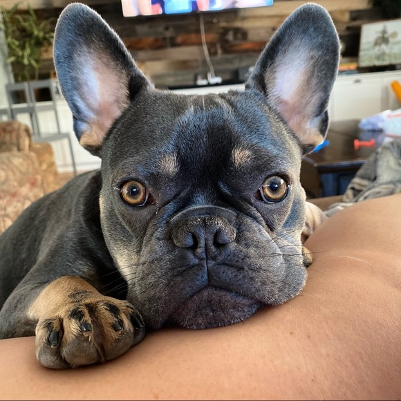 Profile Picture of Abbey Fitzpatrick (@abbeyfitzpatric) on Poshmark