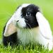Profile Picture of Richard Gault (@richardgault9320) on Pinterest