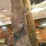 Profile Picture of Jeffrey Addo Yobo (@jeffreyaddoyobo) on Instagram