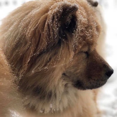 Profile Picture of Maurice John Kotmel (@KotmelJohn) on Twitter