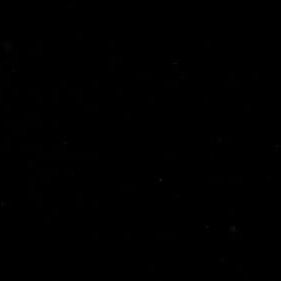 Profile Picture of Daniel Willey (@danielwilley) on Tiktok