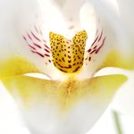 Profile Picture of Michael Cranfield (@michaelcranfieldphoto) on Instagram