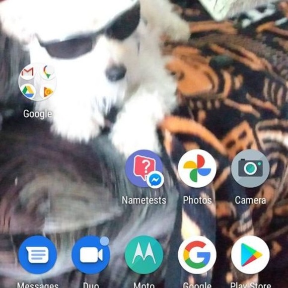 Profile Picture of Beth Downie (@bethdownie434) on Poshmark