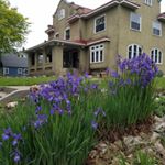 Profile Picture of Anne O'Connor (@anneoconnortfw) on Instagram